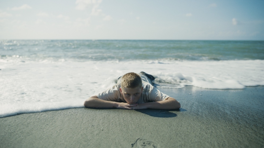 https://www.8horses.ch/files/gimgs/th-19_Groß (ELECTRIC CHILD_Lion in the shore_8horses).jpeg